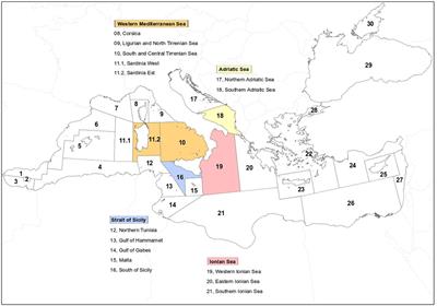 Data availability and participatory approach: the right mix for enhancing Mediterranean fisheries’ sustainability